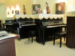 Showroom Piano & Nhạc cụ Musicland