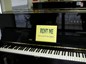 Tiện ích thuê đàn Piano cơ, Piano điện sử dụng tại nhà dài hạn, hoặc sử dụng cho các sự kiện trong ngày