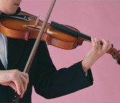 Học đàn Violin, Cello